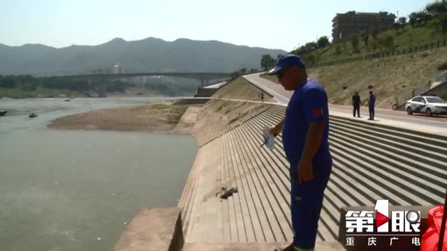DƬ